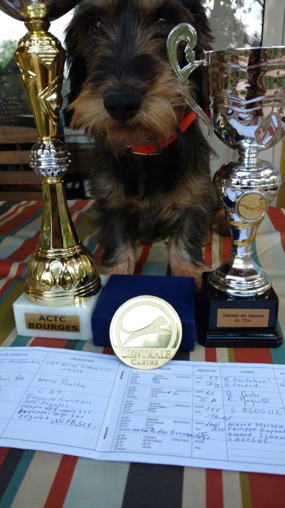 De Tabelgazou - Jicky vainqueur !